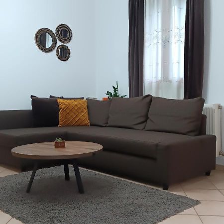 Baou House 1 Apartment Metsovo Bagian luar foto