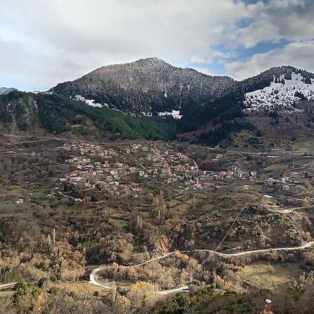 Baou House 1 Apartment Metsovo Bagian luar foto