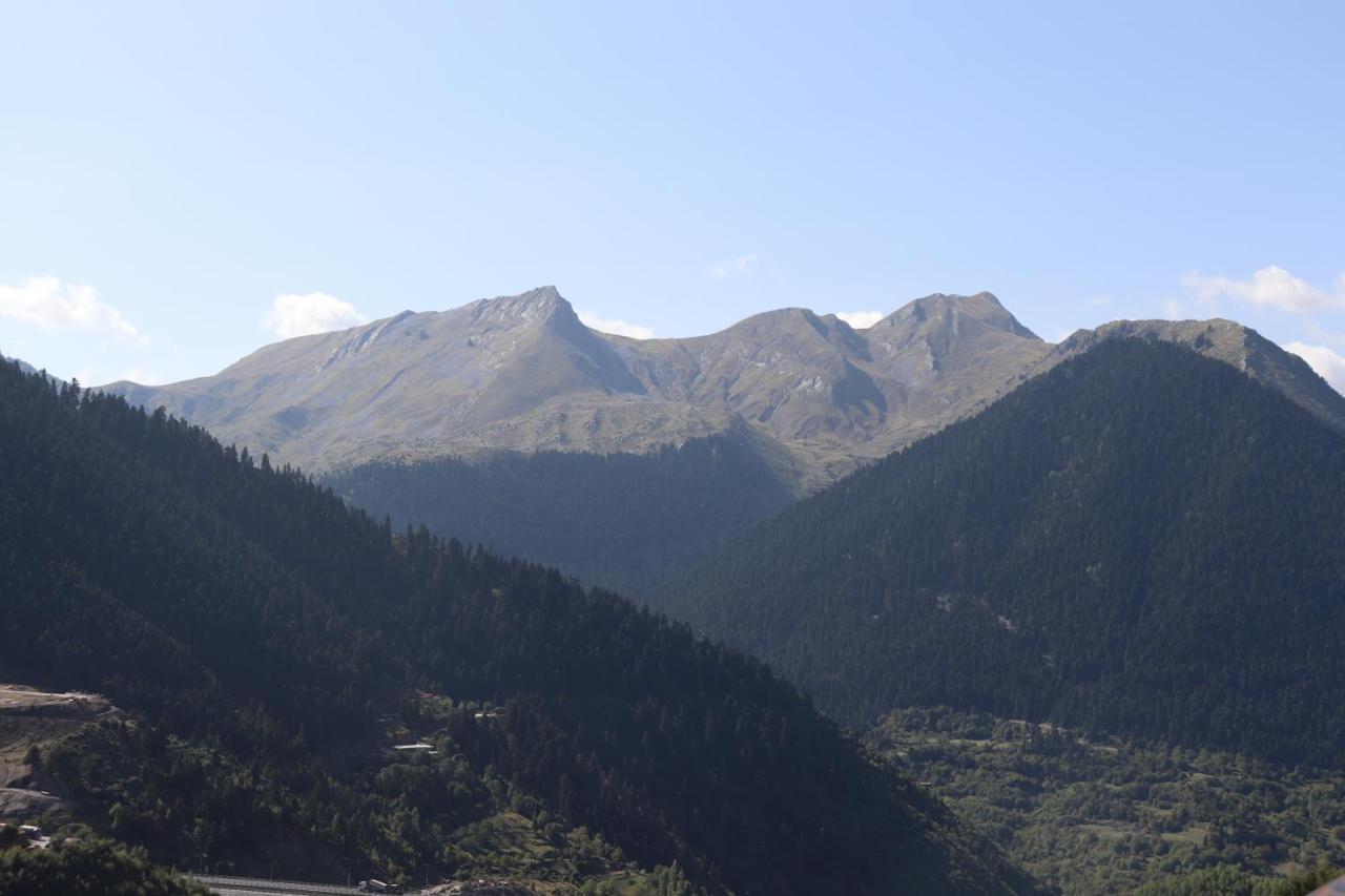 Baou House 1 Apartment Metsovo Bagian luar foto