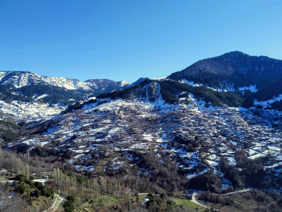 Baou House 1 Apartment Metsovo Bagian luar foto