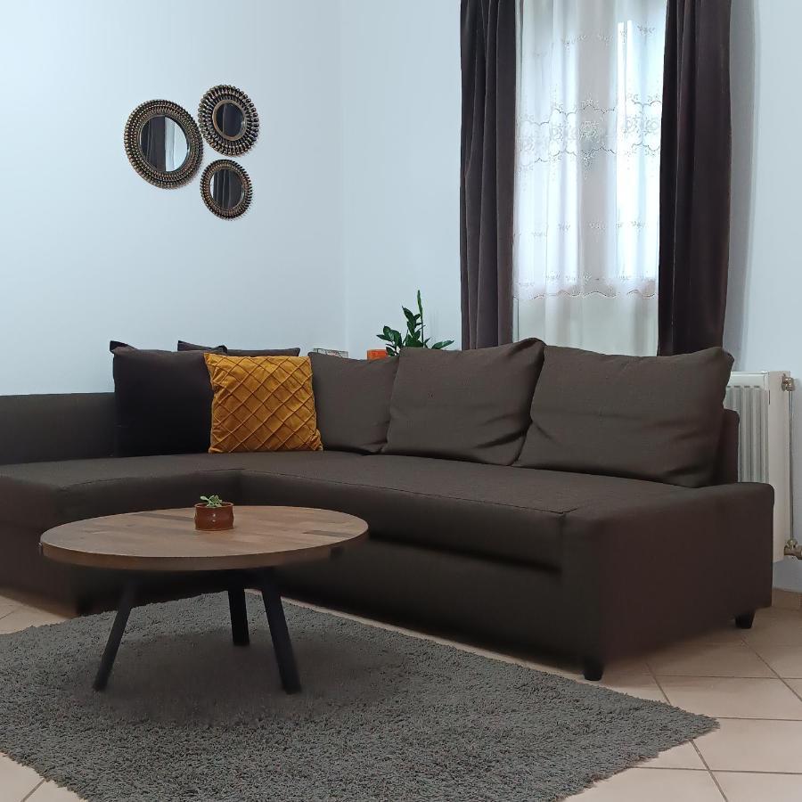 Baou House 1 Apartment Metsovo Bagian luar foto