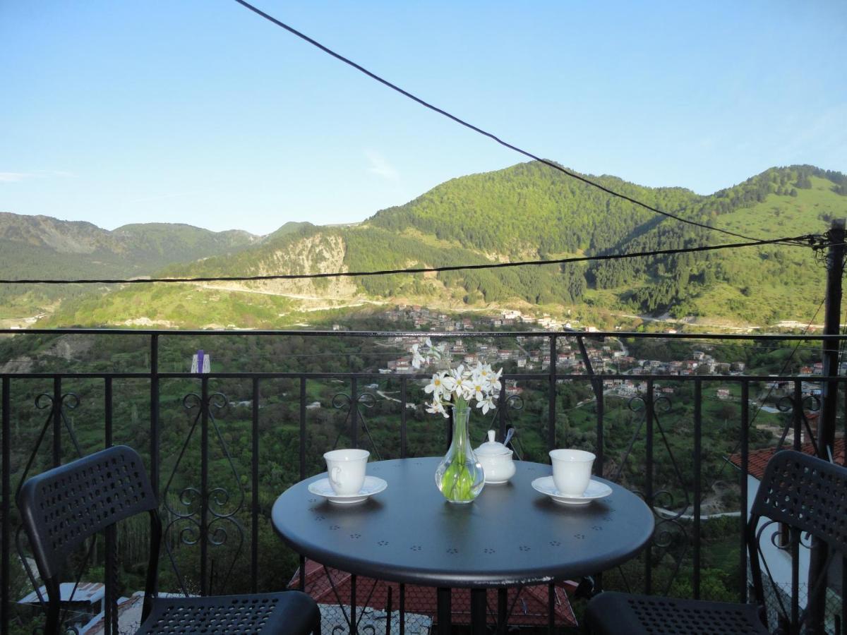 Baou House 1 Apartment Metsovo Bagian luar foto